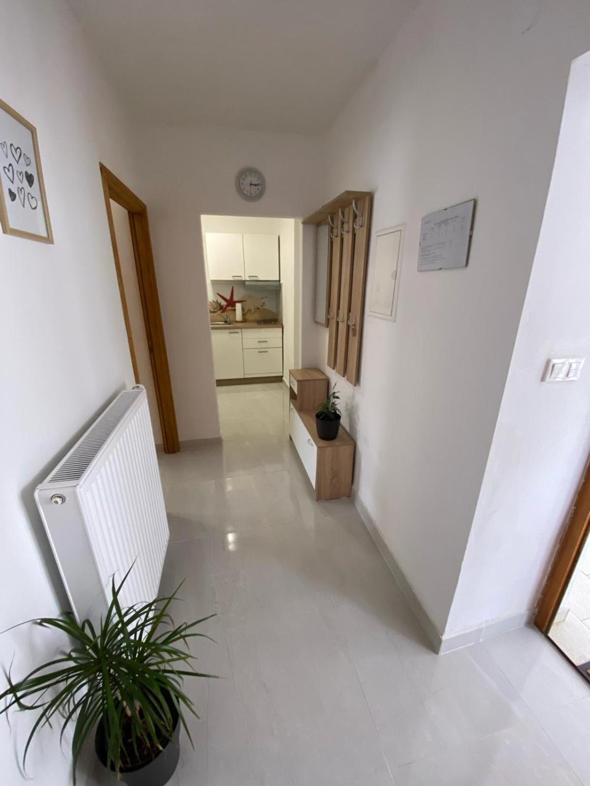 Apartmani Radosav Šilo Exterior foto